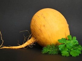 Монгол шим ХХК - Шар манжин